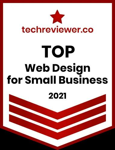 Top Web Design Company at Techreviewer.co 2021