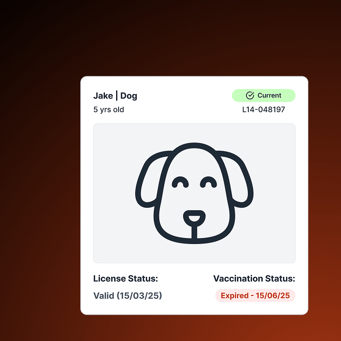 Bizi mobile cards and QR generator