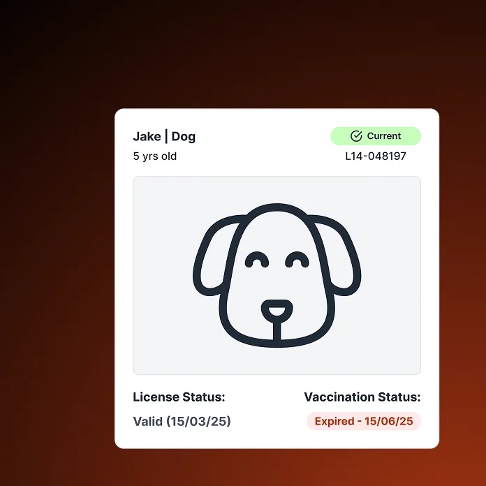 Bizi mobile cards and QR generator