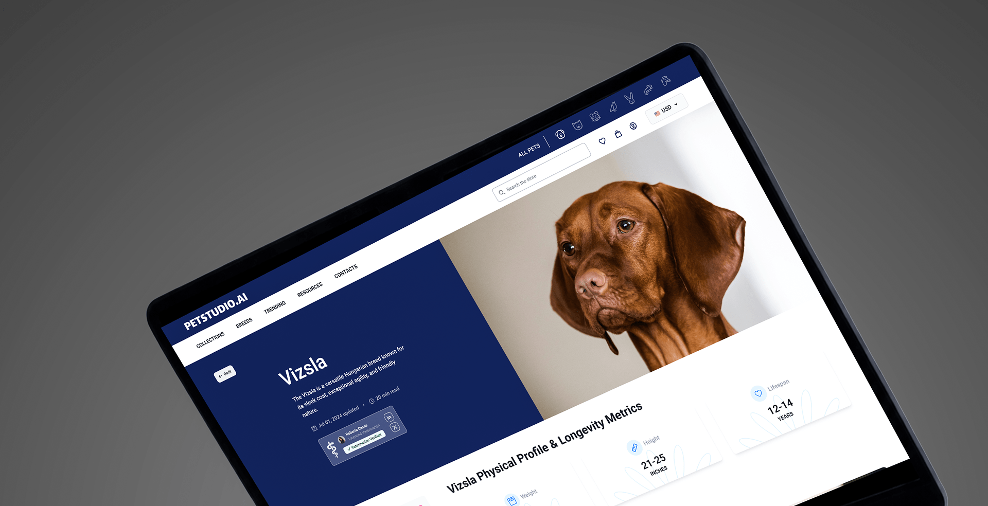 PetStudio.ai customization experience and pet options
