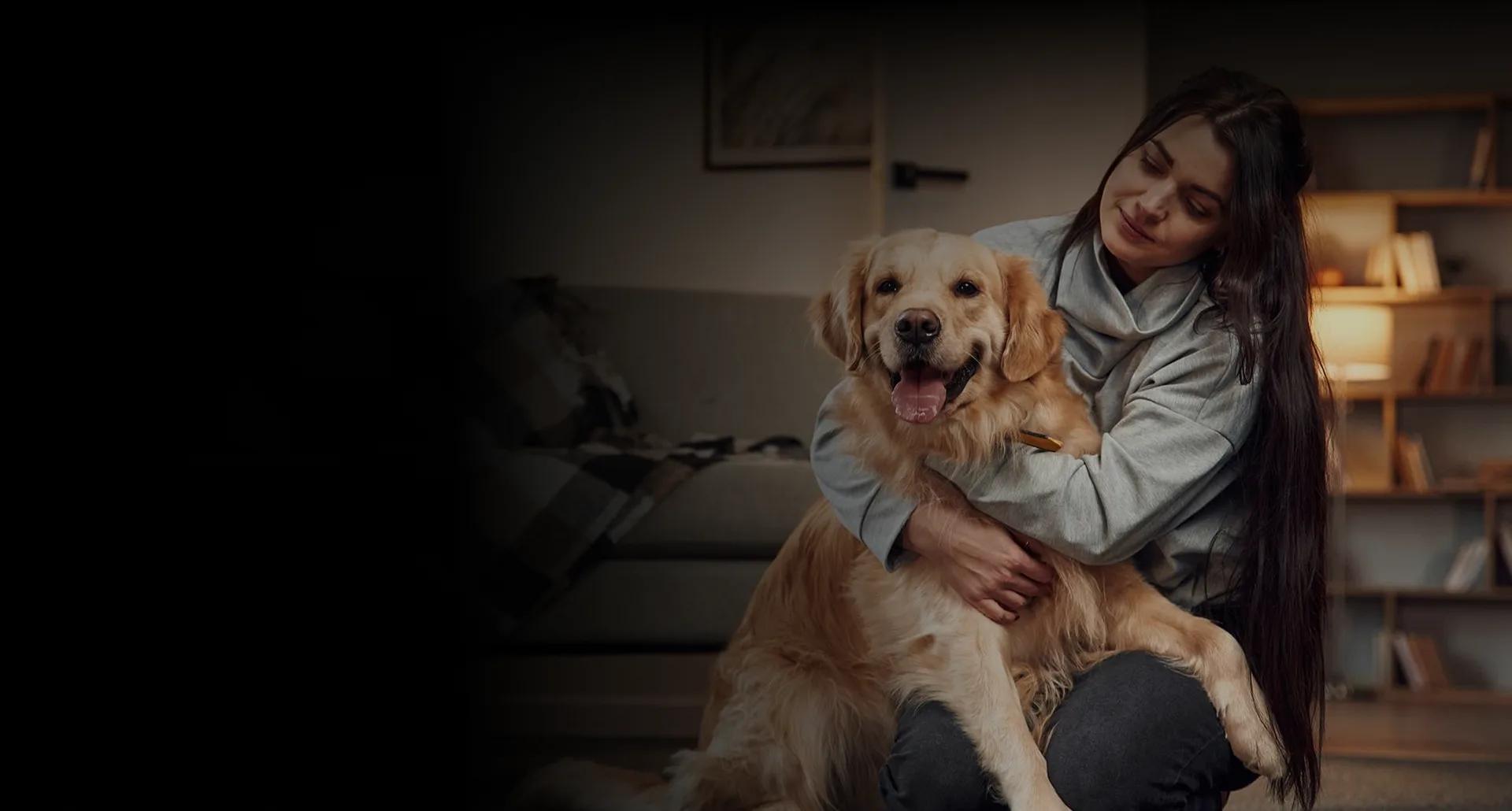 Building Safer Communities Through Smarter Pet Licensing