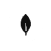MongoDB