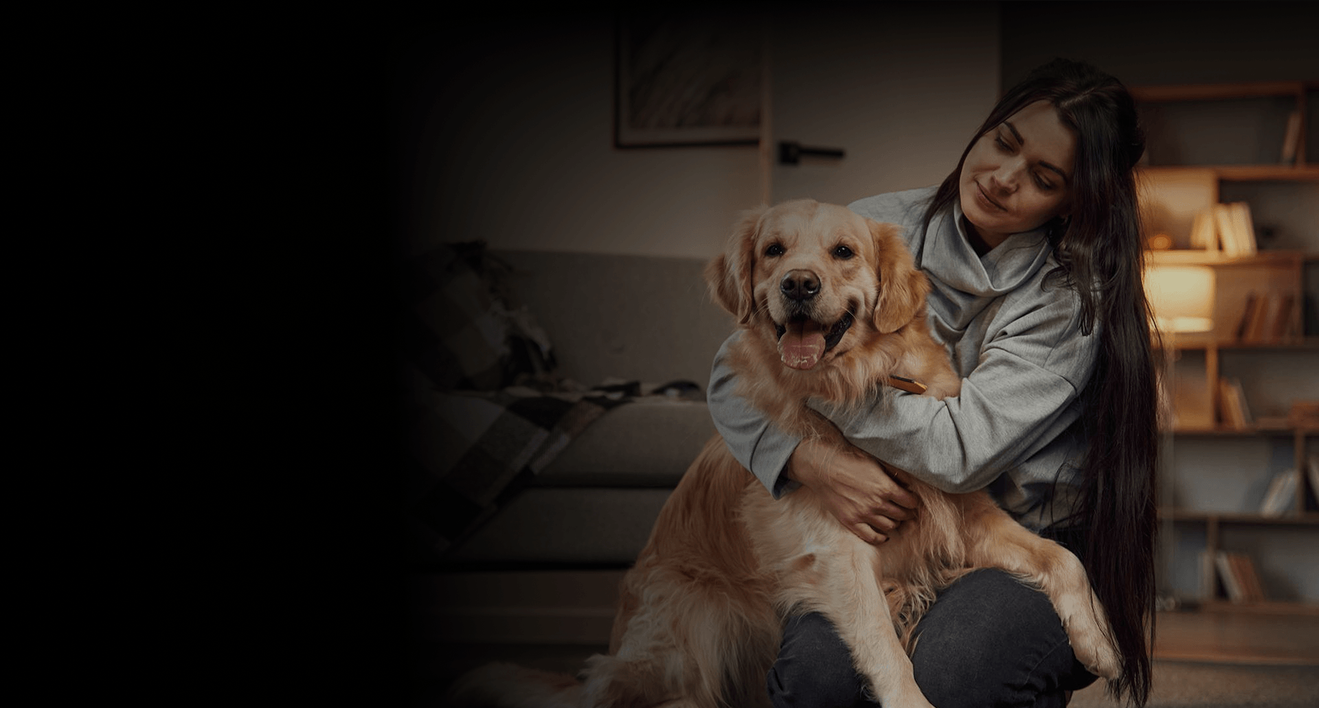Building Safer Communities Through Smarter Pet Licensing