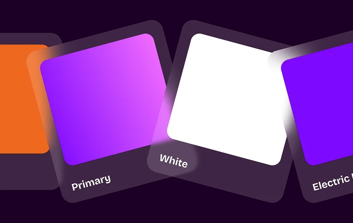 Lensix brand color palette